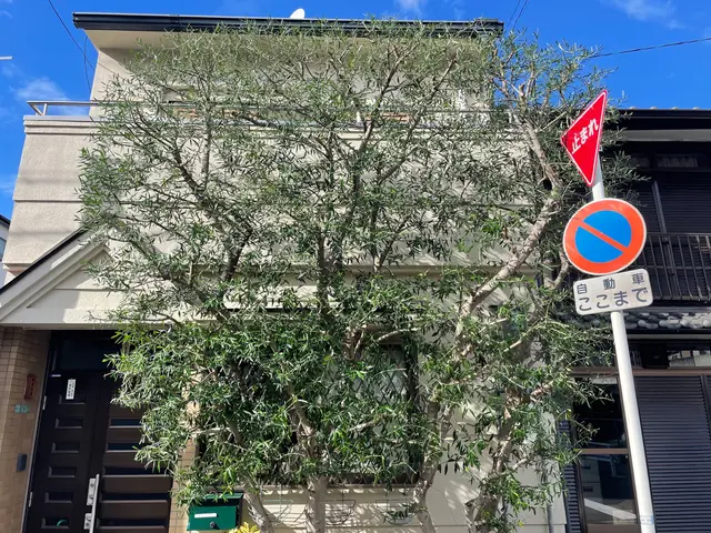 自然風〜強剪定まで柔軟に対応！緑のお助けをいたします！サービスの画像