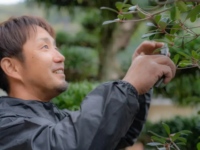 自然風〜強剪定まで柔軟に対応！緑のお助けをいたします！サービスの画像