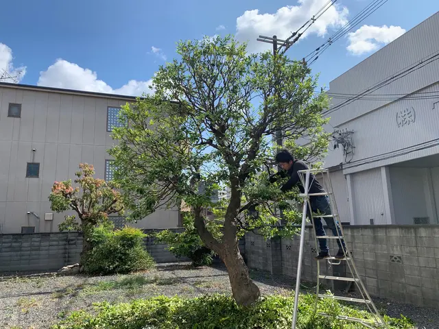 自然風〜強剪定まで柔軟に対応！緑のお助けをいたします！サービスの画像