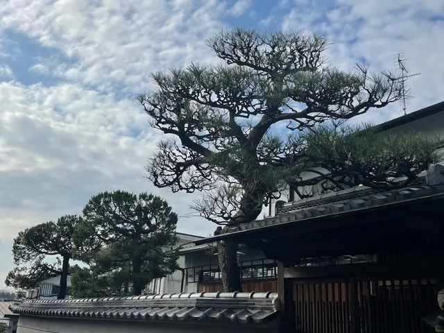 自然風〜強剪定まで柔軟に対応！緑のお助けをいたします！サービスの画像