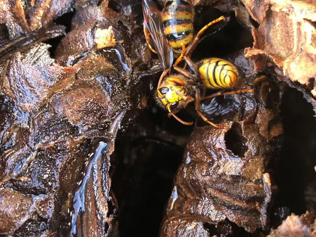 【迅速に対応致します◎】作業にご不満の場合は無料で追加対応も行っております！サービスの画像