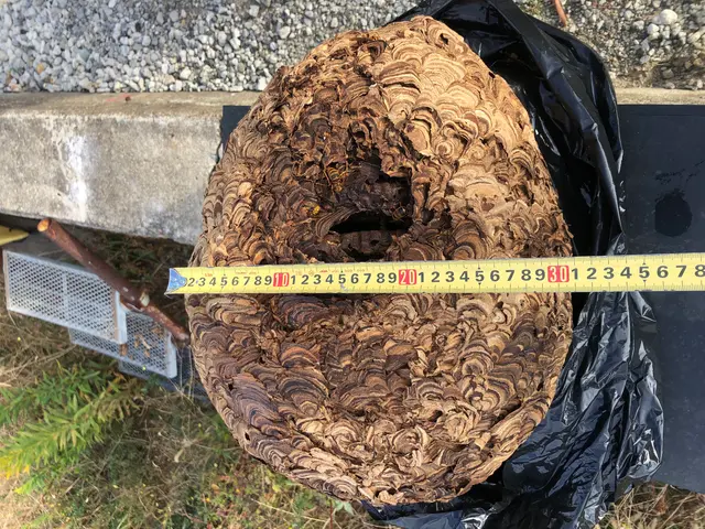 【迅速に対応致します◎】作業にご不満の場合は無料で追加対応も行っております！サービスの画像