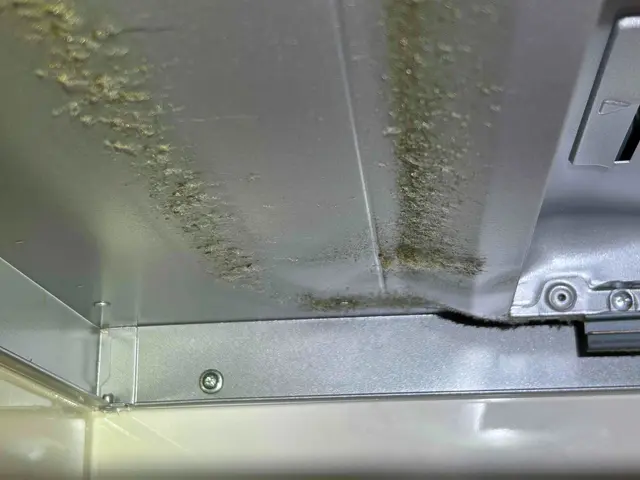 【健康を作るハウスクリーニング】綺麗好き店長が清潔な環境を守ります！サービスの画像