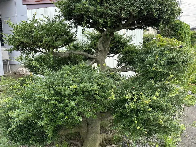 ご不在での作業も可能です。サービスの画像