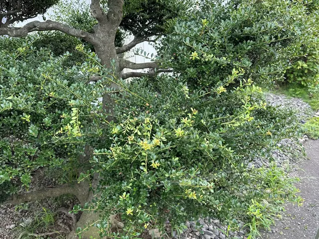 ご不在での作業も可能です。サービスの画像