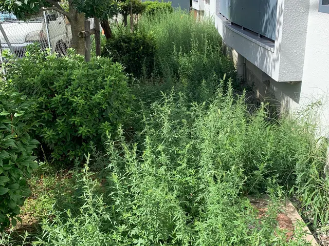 【年間施工実績500件超！】駐車代お店負担！丁寧きれいに仕上げます！サービスの画像