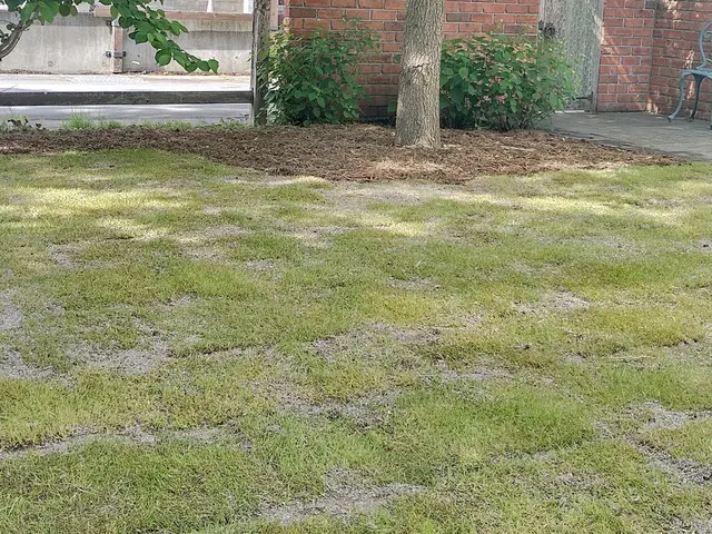 15年以上の実績を持つ店長が必ず訪問！お客様に寄り添う安心の作業サービスの画像