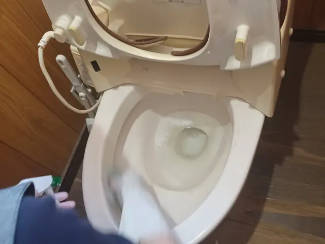 水回りの総クリーニング　風呂　洗面台　トイレ　キッチン　換気扇セット。サービスの画像