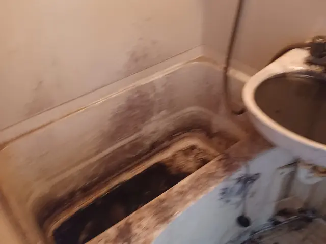 水回りの総クリーニング　風呂　洗面台　トイレ　キッチン　換気扇セット。サービスの画像