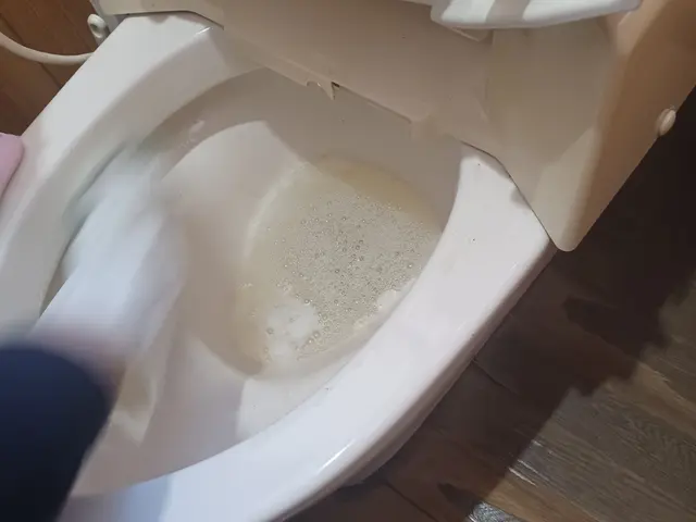 水回りの総クリーニング　風呂　洗面台　トイレ　キッチン　換気扇セット。サービスの画像