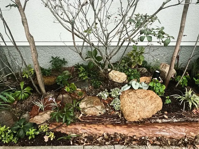 15年以上の実績！女性スタッフ同行で安心の庭木お手入れサービスの画像