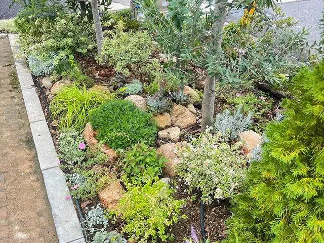 15年以上の実績！女性スタッフ同行で安心の庭木お手入れサービスの画像