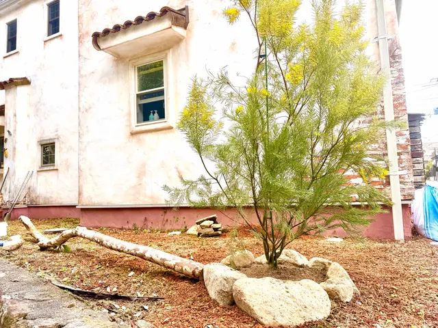 ○植え替え◯肥料◯土壌改良◯季節の植物入れ替え◯ご要望にお応えします。サービスの画像