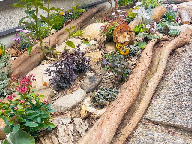 15年以上の実績！女性スタッフ同行で安心の庭木お手入れサービスの画像