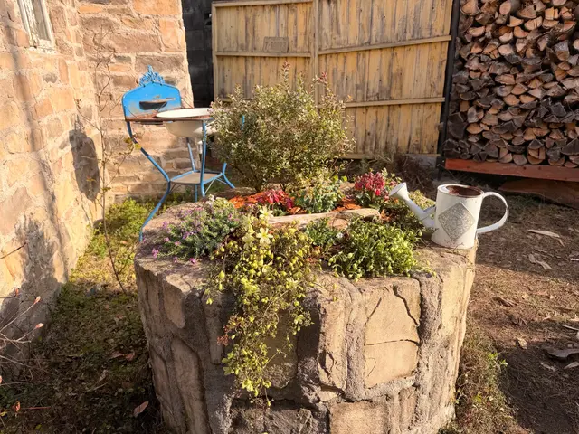 ○植え替え◯肥料◯土壌改良◯季節の植物入れ替え◯ご要望にお応えします。サービスの画像