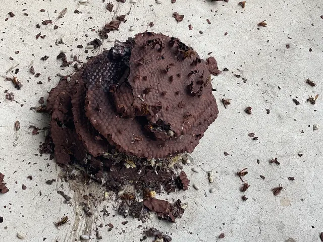 【業歴15年の実績】夜間早朝即日も対応可能◎対応地域外も対応可◎損害保険加入店◎サービスの画像