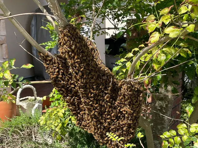 【業歴15年の実績】夜間早朝即日も対応可能◎対応地域外も対応可◎損害保険加入店◎サービスの画像