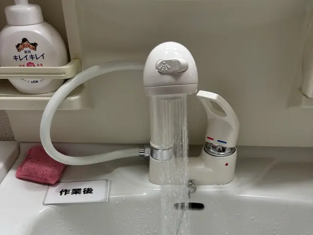 蛇口本体交換　処分サービスの画像