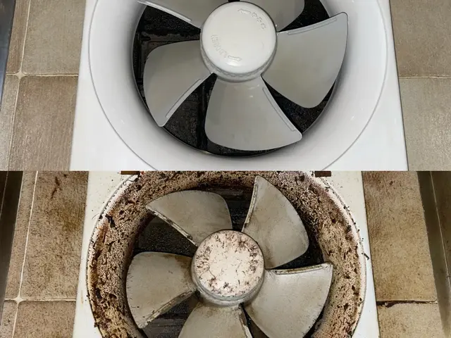 長年の油を徹底除去！！換気扇（プロペラタイプ）クリーニングサービスの画像