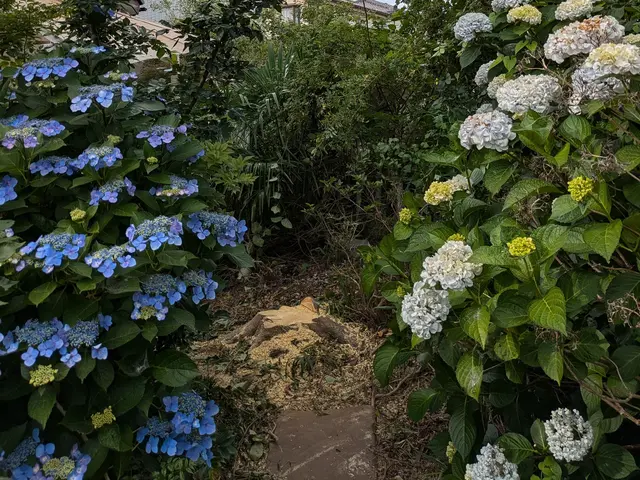 ◎年中無休◎予約から施工まで100%自社対応◎アフターフォローも万全サービスの画像