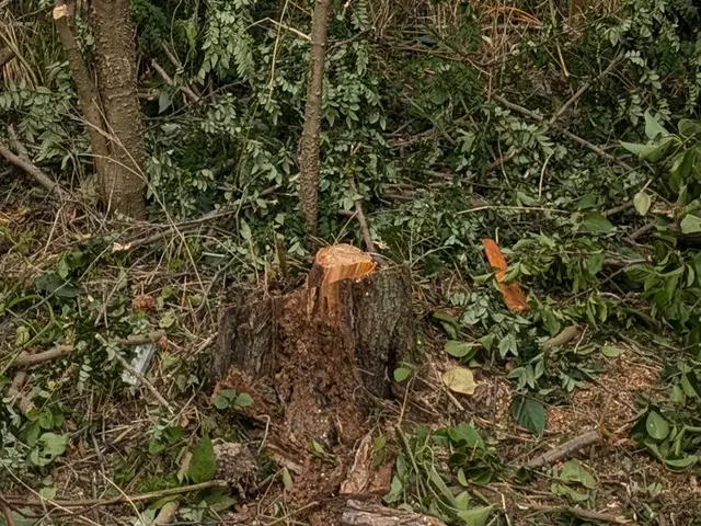 ◎年中無休◎予約から施工まで100%自社対応◎アフターフォローも万全サービスの画像