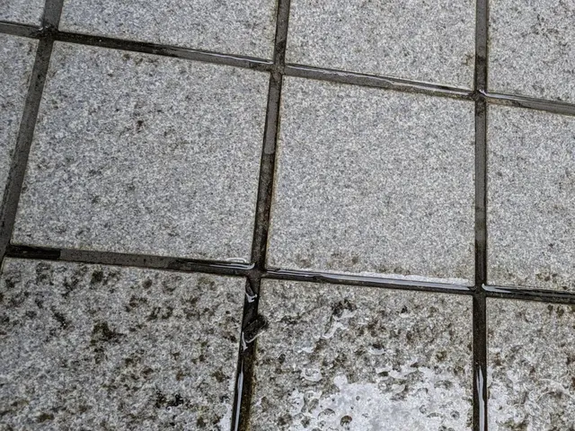 駐車場、土間、ブロック塀など外回り高圧洗浄お任せください！蘇らせます！サービスの画像