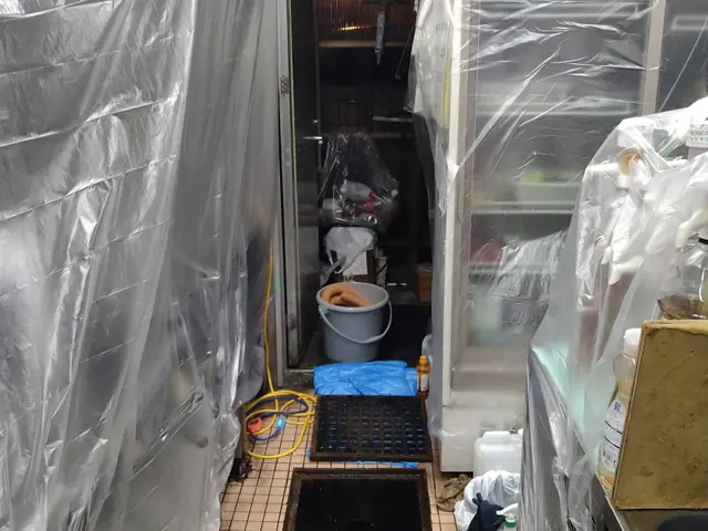 プロの技で蘇る！安心の保険対応で後悔知らずの清掃サービスの画像