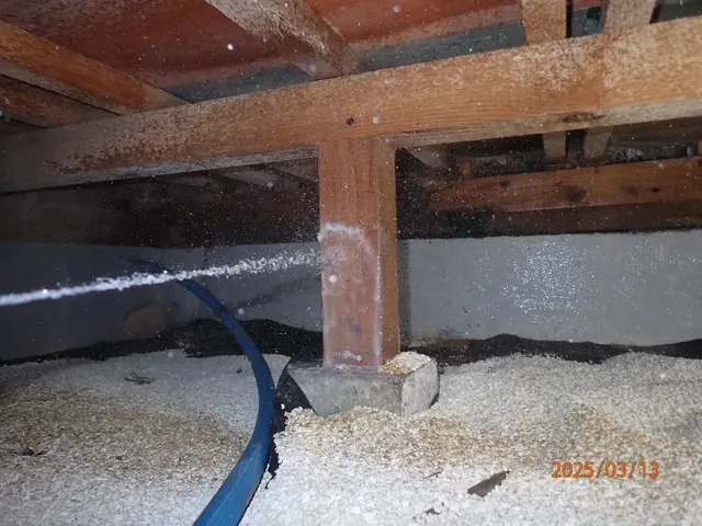 リフォーム、メンテナンス業界20年のシロアリ駆除！！サービスの画像