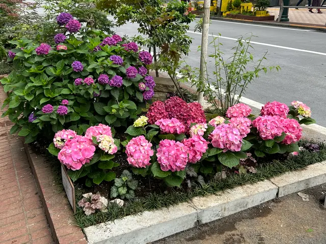 3年間100件以上の実績！大手企業も信頼するスペシャリストがご要望に完全対応サービスの画像