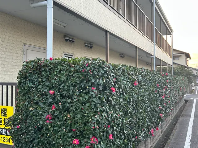 お客様のご要望に合わせた作業を致します！年間70件以上の実績。地域密着で安心☆サービスの画像