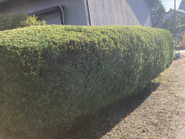 お客様のご要望に合わせた作業を致します！年間70件以上の実績。地域密着で安心☆サービスの画像