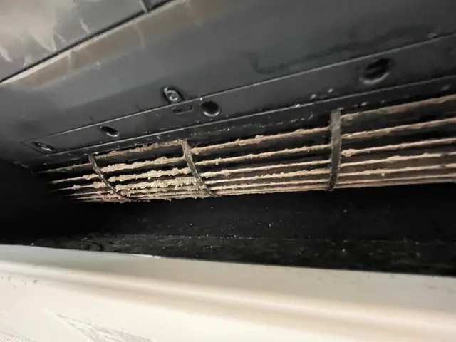 エアコンの黒カビを徹底除去いたします。サービスの画像