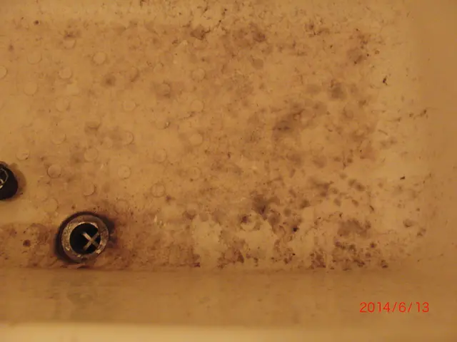 スチームクリーナーでスッキリ！【お風呂クリーニングサービスの画像