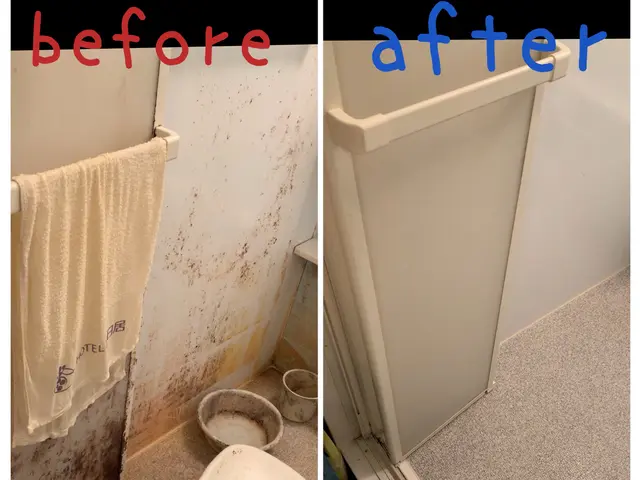 元保育士が伺います☆年末の大掃除に！！！カビや水垢もスッキリ洗浄サービスの画像