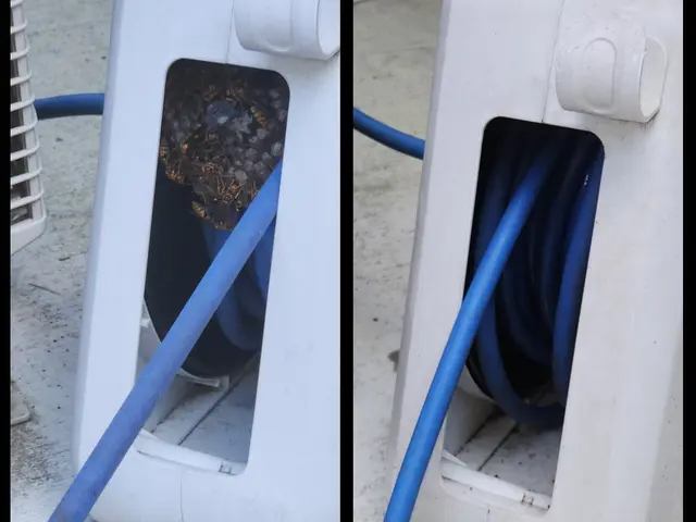 【アシナガバチ9000円～】◎2ヶ月の無料保証■即日、翌日対応可能！サービスの画像