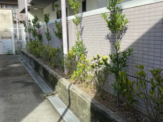 【女性スタッフ同行可能】大手での作業経験あります◉サービスの画像