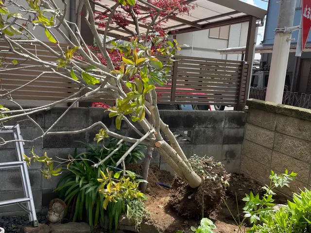 【女性スタッフ同行可能】大手での作業経験あります◉サービスの画像