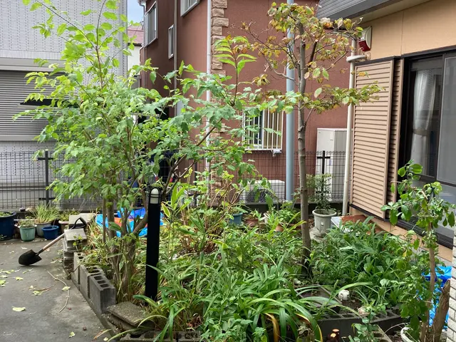 【女性スタッフ同行可能】大手での作業経験あります◉サービスの画像