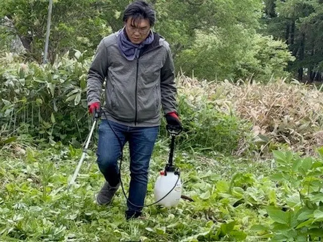 50平米草刈りのみ、11000円草回収込5500円 、50平米以下はお値引可能！サービスの画像