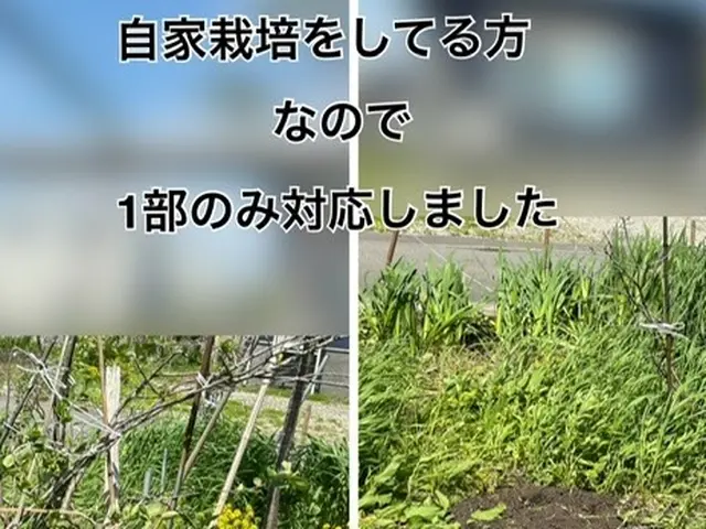 50平米草刈りのみ、11000円草回収込5500円 、50平米以下はお値引可能！サービスの画像