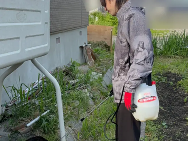 50平米草刈りのみ、11000円草回収込5500円 、50平米以下はお値引可能！サービスの画像