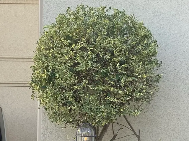 写真見積可能！費用は簡易清掃・ゴミ回収処分代全て込みの税込総額！お見積も無料ですサービスの画像