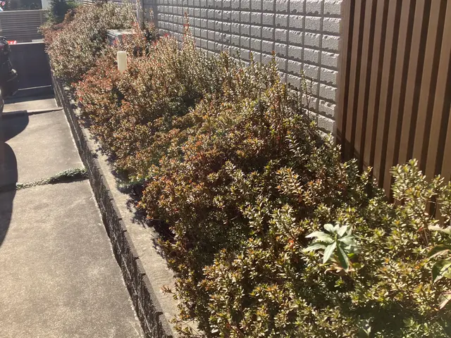 写真見積可能！費用は簡易清掃・ゴミ回収処分代全て込みの税込総額！お見積も無料ですサービスの画像