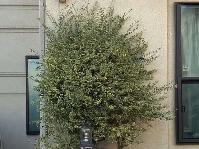 写真見積可能！費用は簡易清掃・ゴミ回収処分代全て込みの税込総額！お見積も無料ですサービスの画像