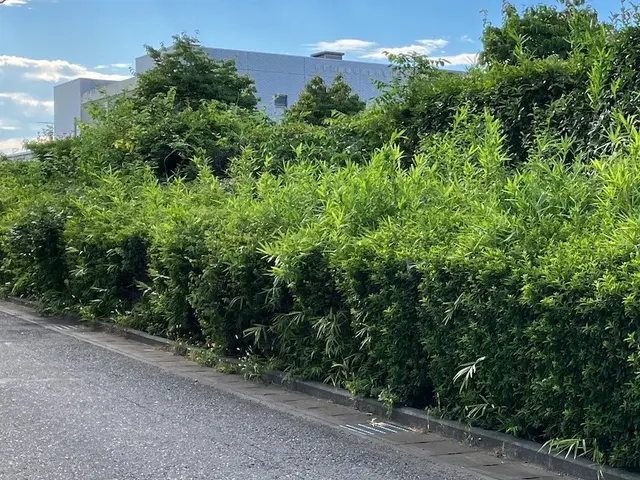 写真見積可能！費用は簡易清掃・ゴミ回収処分代全て込みの税込総額！お見積も無料ですサービスの画像