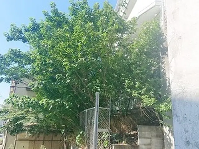 《100%自社対応》業界歴10年◆年間300件以上の安心実績！年中無休営業◎サービスの画像