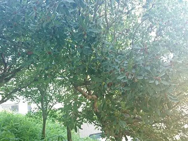 《100%自社対応》業界歴10年◆年間300件以上の安心実績！年中無休営業◎サービスの画像