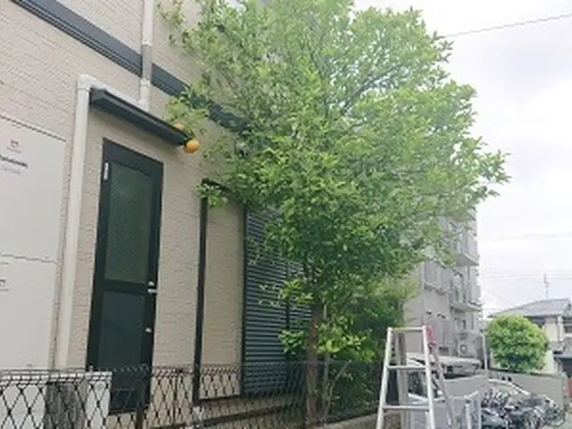 《100%自社対応》業界歴10年◆年間300件以上の安心実績！年中無休営業◎サービスの画像