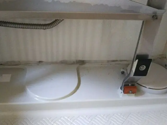 [業歴20年]お風呂のカビ、水アカ、浴槽の変色などキレイに致します。サービスの画像