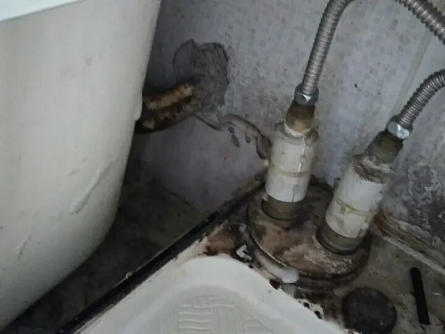 [業歴20年]お風呂のカビ、水アカ、浴槽の変色などキレイに致します。サービスの画像